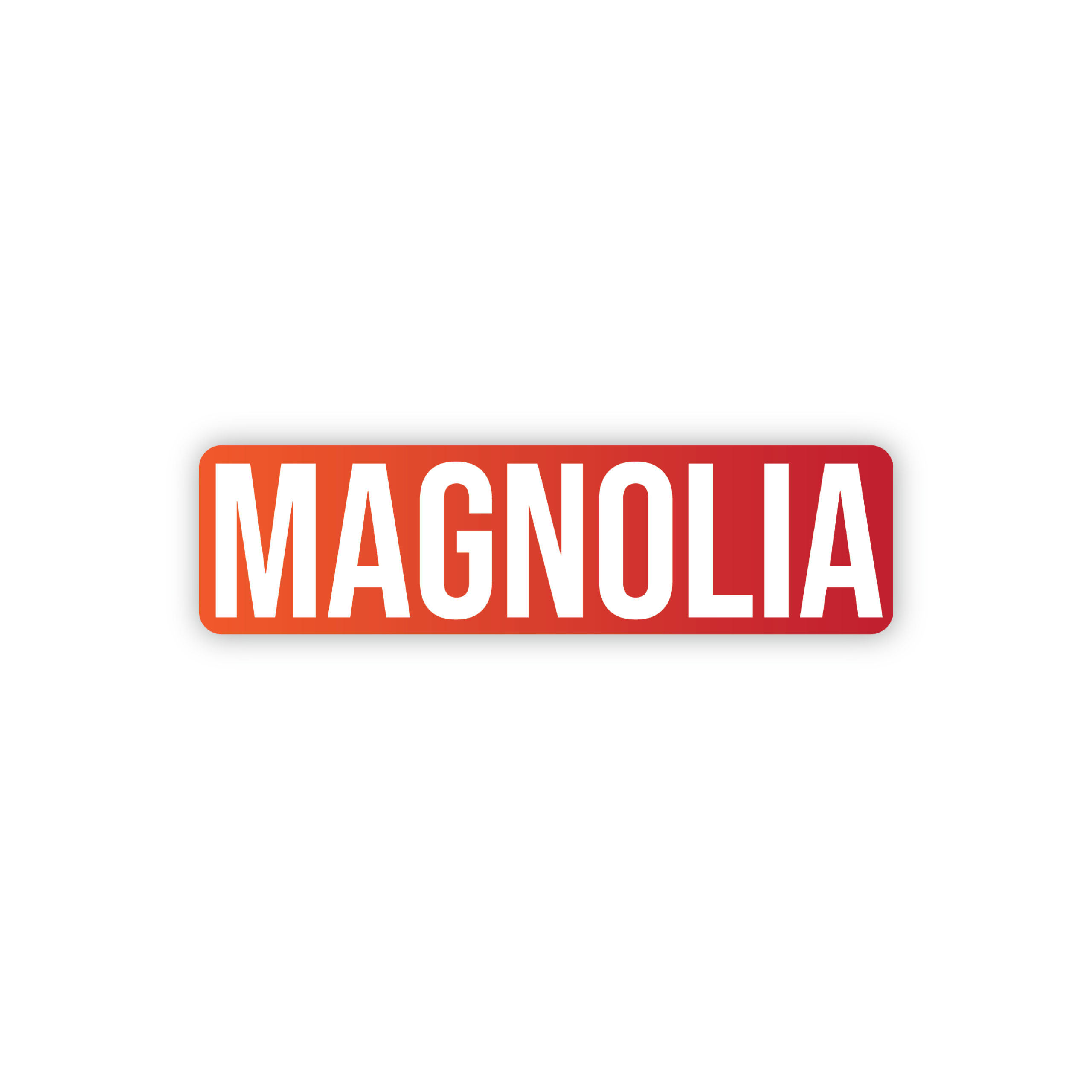fi-es magnolia ERP software solution