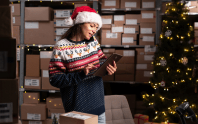 Prepare for Christmas Period Sales with Magnolia ERP Software