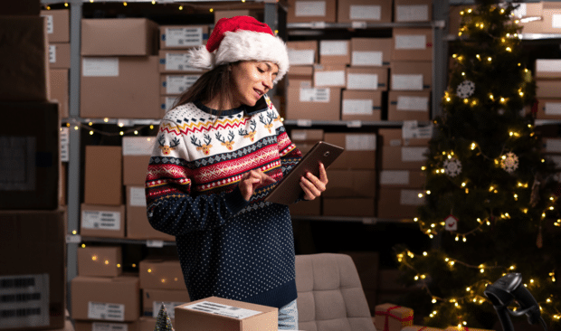 Prepare for Christmas Period Sales with Magnolia ERP Software