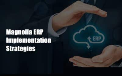 Magnolia ERP Implementation Strategies: Best Practices, Challenges, and Success Factors