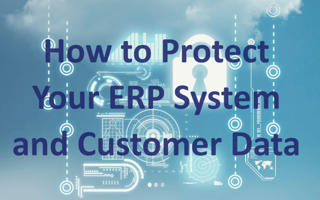 Safeguarding Your Business: How to Protect Your ERP Systems and Customer Data
